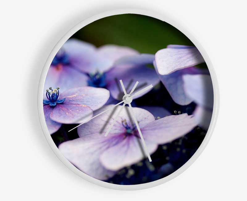 Flat purple flowers Clock - Wallart-Direct UK