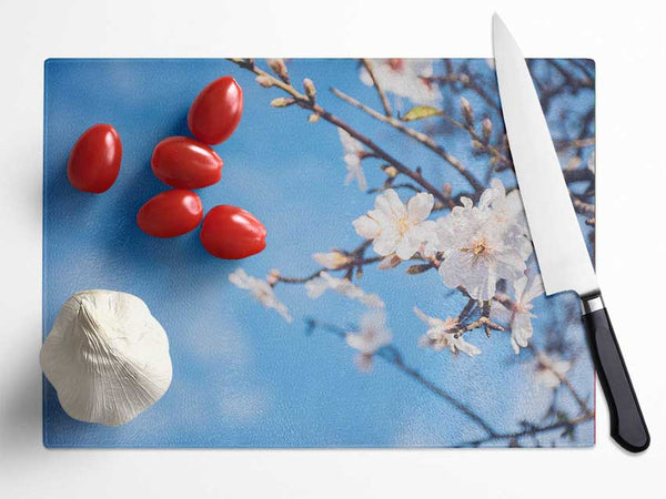 White blossom flowers  off a branch Glass Chopping Board