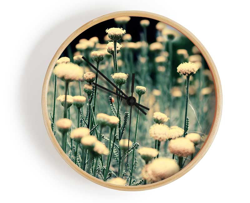 Poppy stalks Clock - Wallart-Direct UK