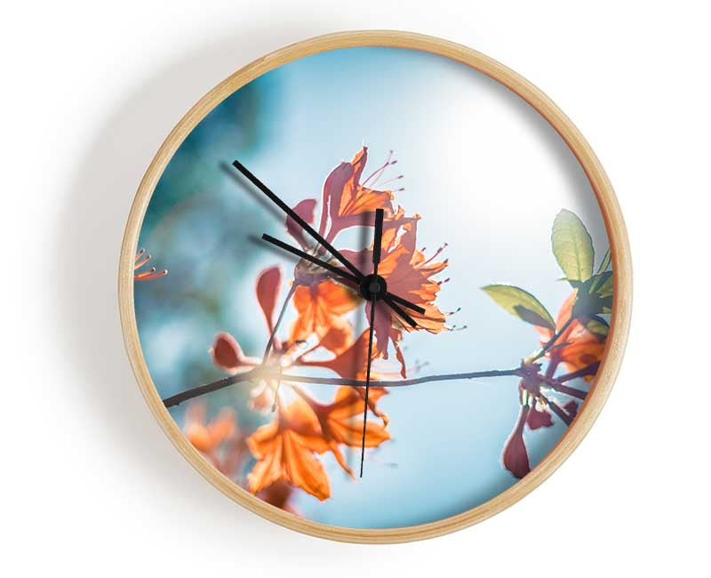 Sun shinging through the twigs and leaves Clock - Wallart-Direct UK