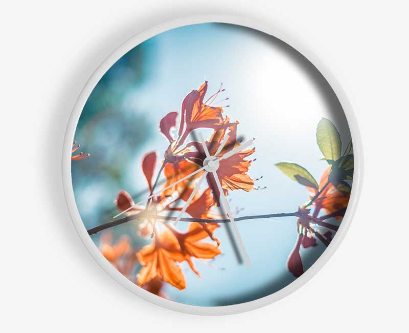 Sun shinging through the twigs and leaves Clock - Wallart-Direct UK