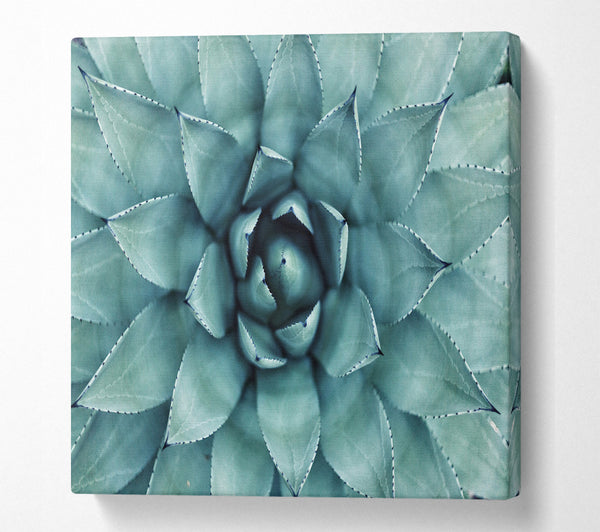 A Square Canvas Print Showing Green cool Zen plant Square Wall Art