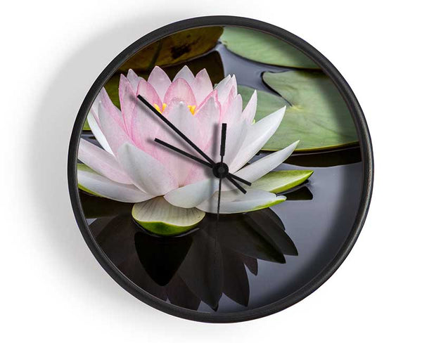 Pond plant floating on the lake Clock - Wallart-Direct UK