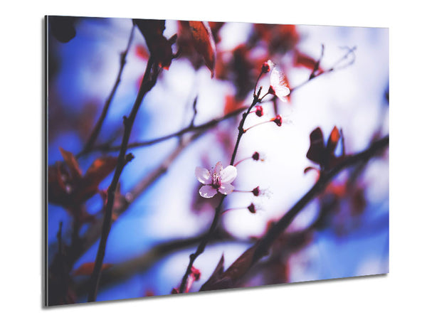 Tree blossom last standing