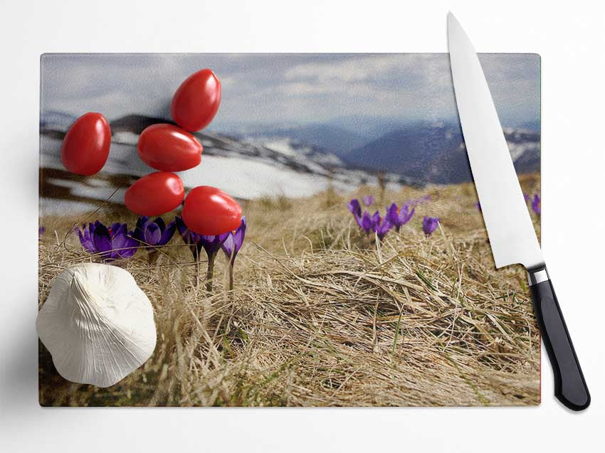 Purple crocus sprouting through the grass Glass Chopping Board