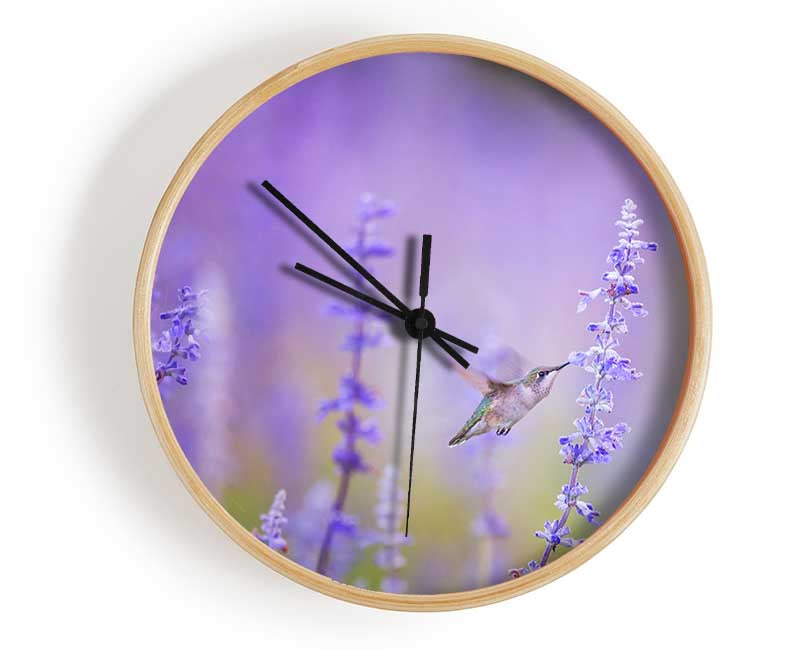 Humming bird feeding time Clock - Wallart-Direct UK