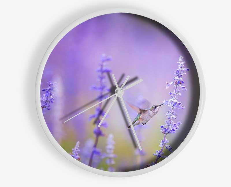 Humming bird feeding time Clock - Wallart-Direct UK