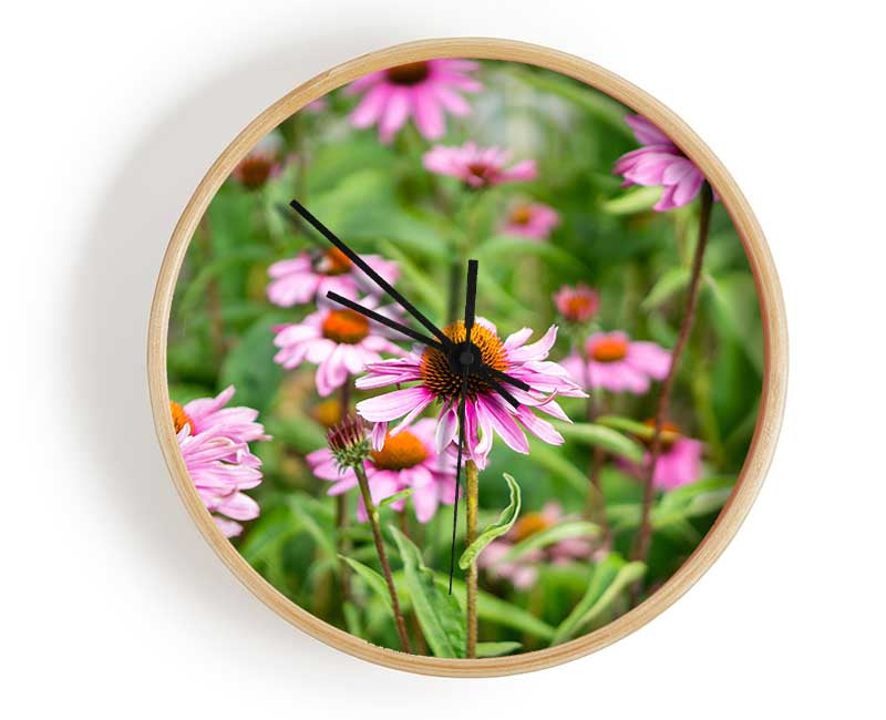 Pink flowers down below in the grass Clock - Wallart-Direct UK