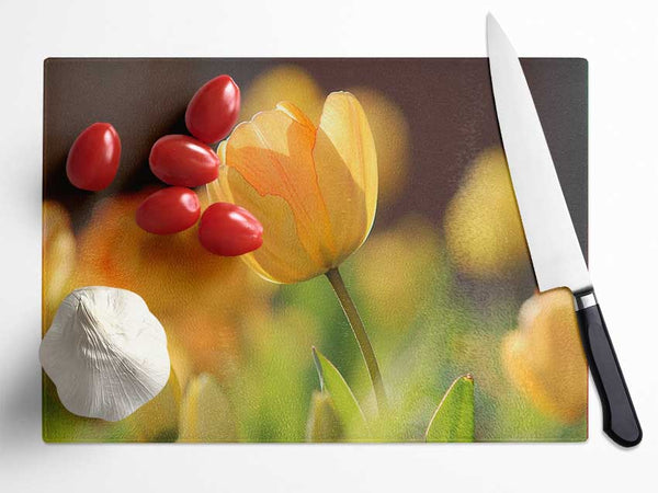 Yellow tulip in the spring Glass Chopping Board