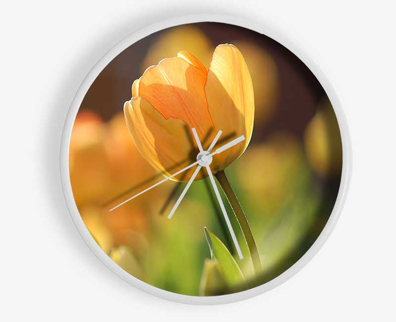 Yellow tulip in the spring Clock - Wallart-Direct UK