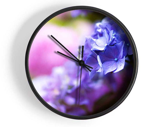 Pretty small purple flowers Clock - Wallart-Direct UK