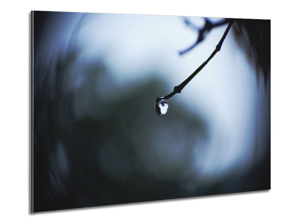 Singele droplet on a twig