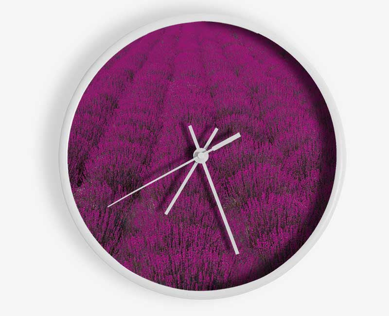 Impressive fields of lavender Clock - Wallart-Direct UK