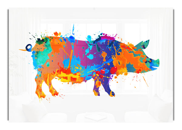 Colour splash Pig