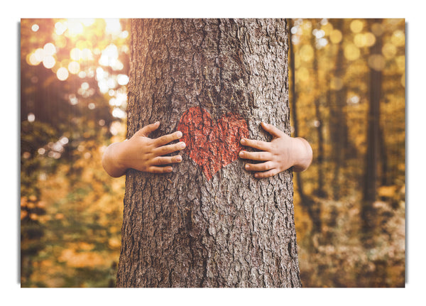 Tree hugger