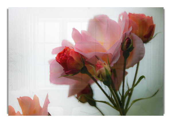 An array of pink flowers