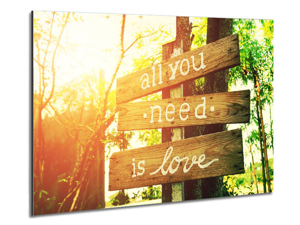 All You Need Is Love