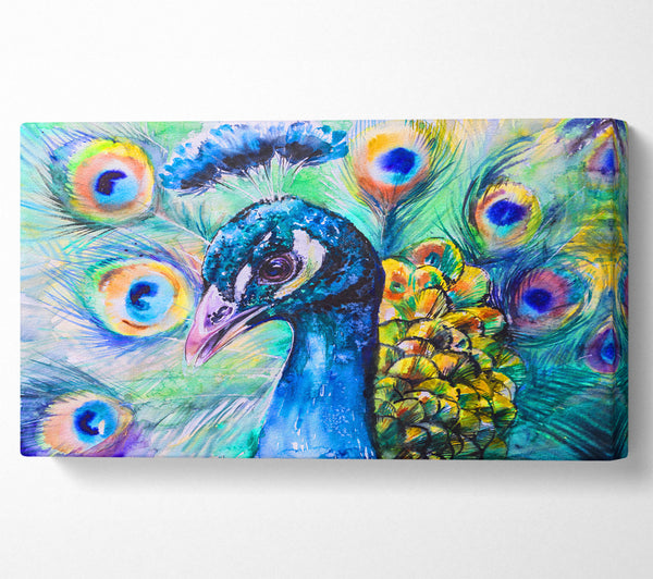 Vibrant Watercolour Peacock