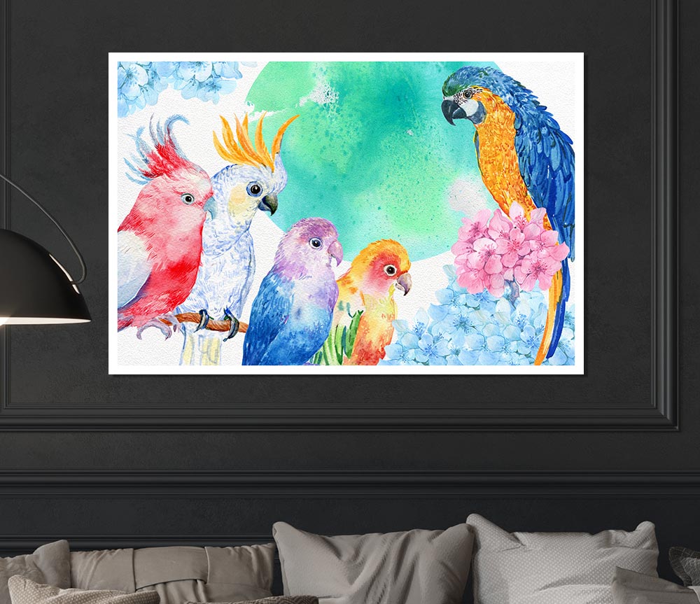 Array Of Watercolour Parrots Print Poster Wall Art