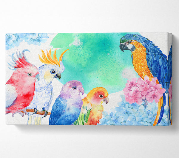 Array Of Watercolour Parrots