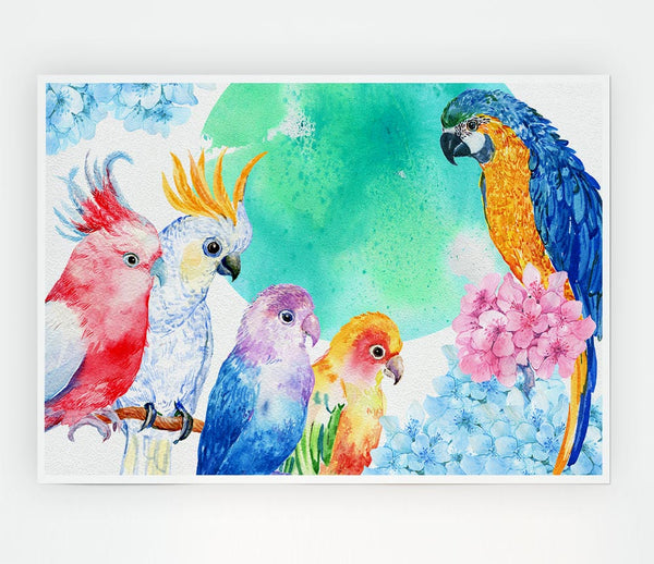 Array Of Watercolour Parrots Print Poster Wall Art