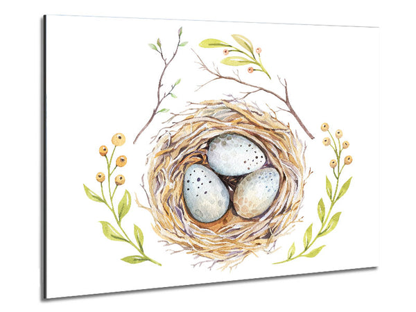 Three Eggs In A Nest