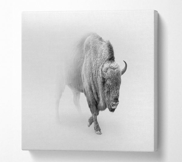 A Square Canvas Print Showing Bison In The Mist Square Wall Art