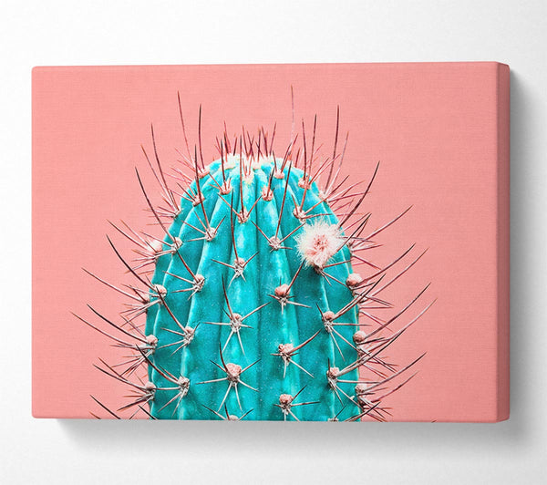 Picture of Teal Cactus Canvas Print Wall Art