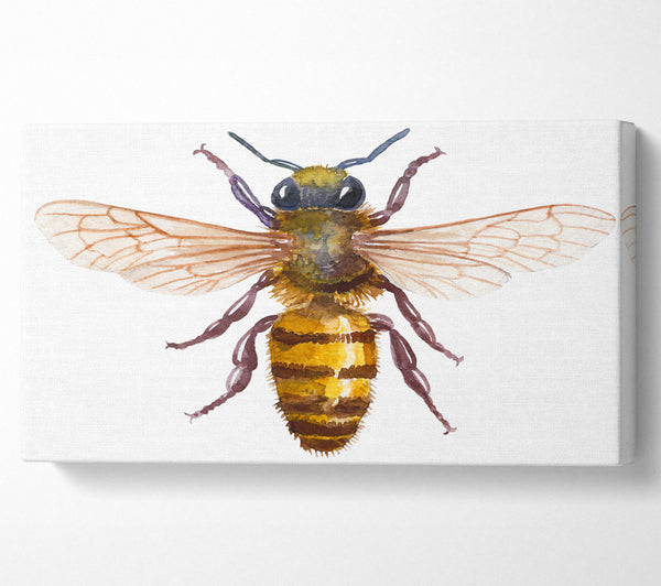 Watercolour Bee