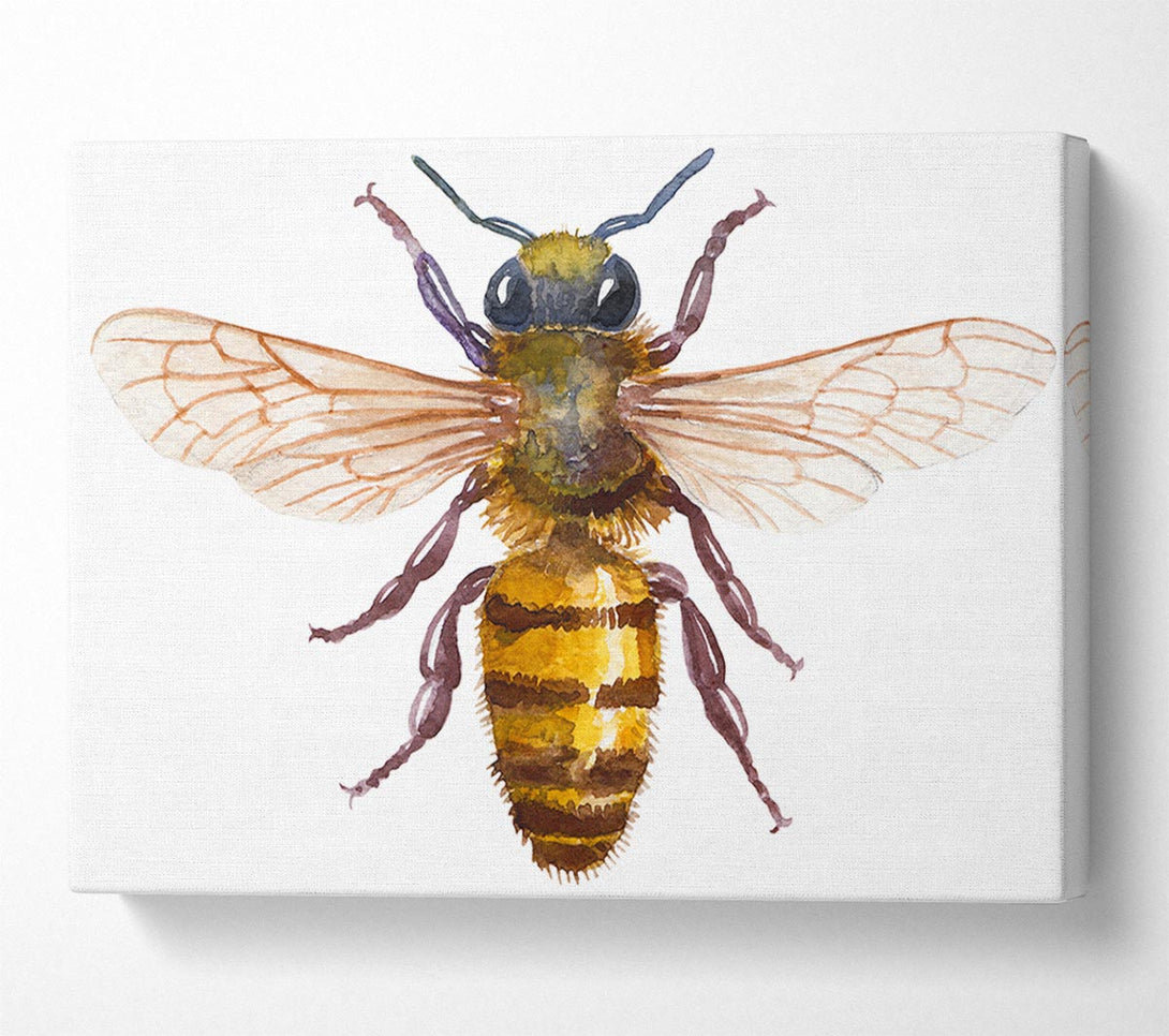 Picture of Watercolour Bee Canvas Print Wall Art