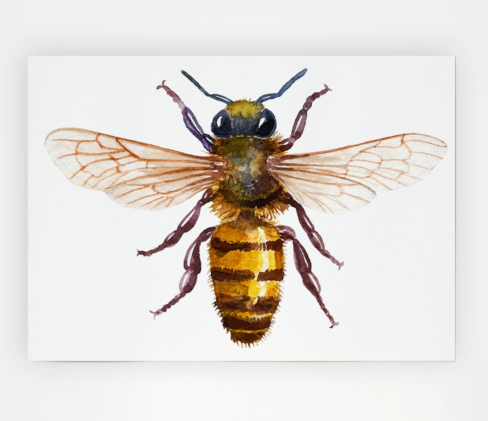 Watercolour Bee Print Poster Wall Art