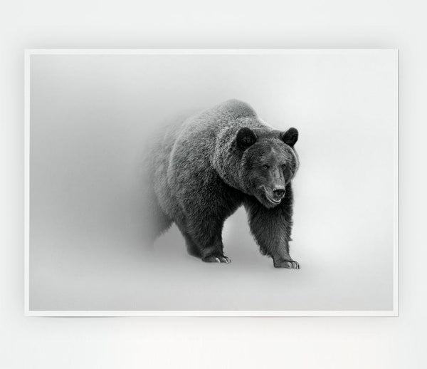 Bear In The Mist Print Poster Wall Art