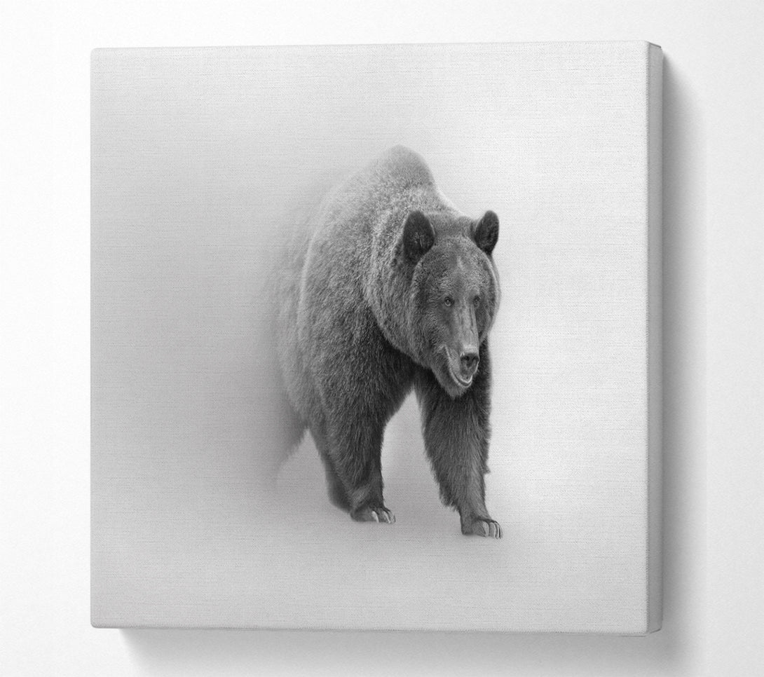 A Square Canvas Print Showing Bear In The Mist Square Wall Art