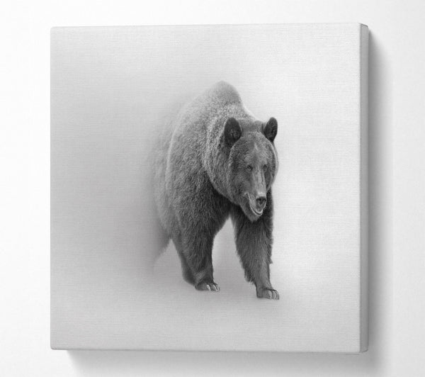 A Square Canvas Print Showing Bear In The Mist Square Wall Art