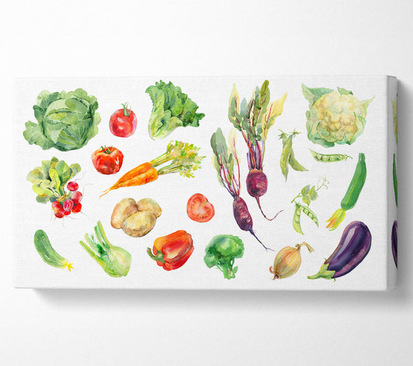 Selection Of Watercolour Vegetables