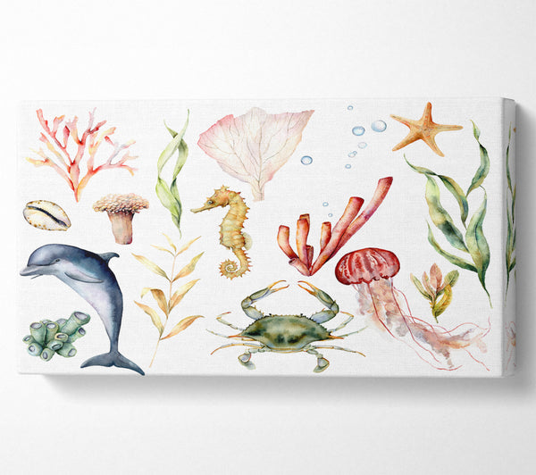 Water Colour Sea Creatures