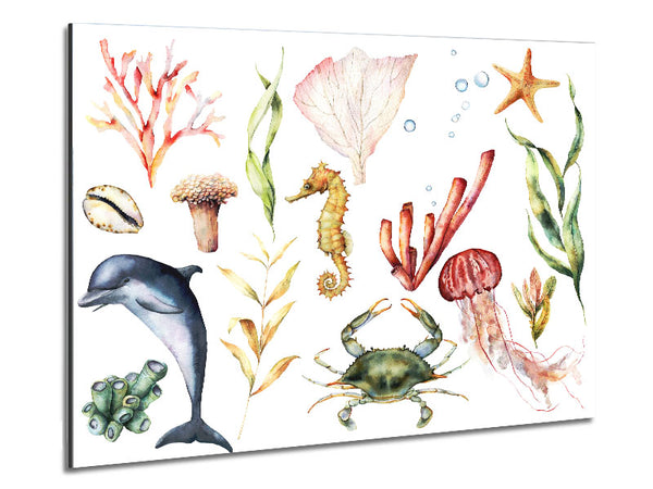 Water Colour Sea Creatures