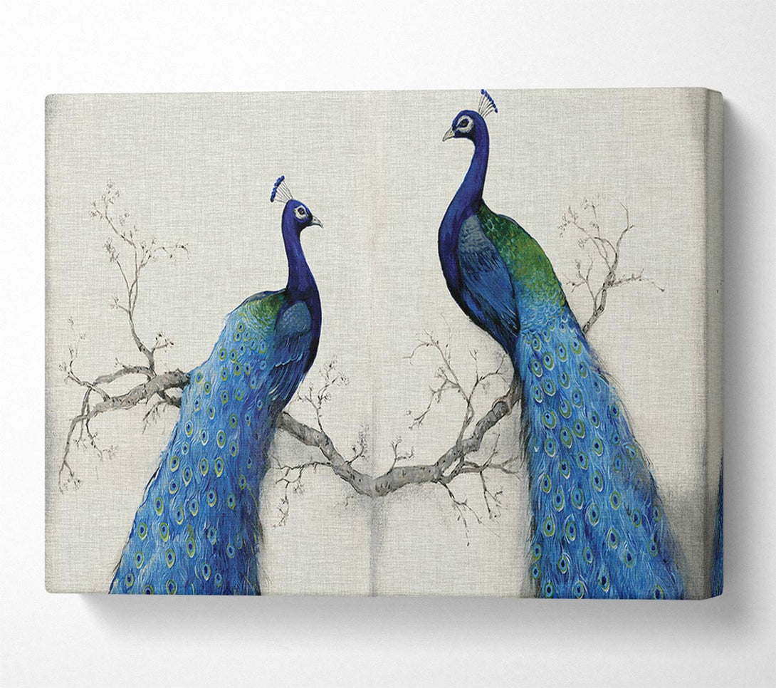 Picture of The Peacock Duo Canvas Print Wall Art