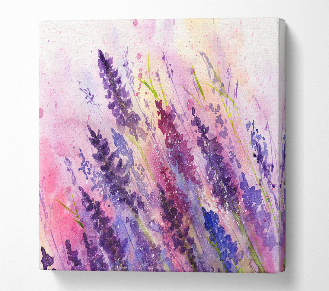 A Square Canvas Print Showing Lavender Colour Splash Square Wall Art