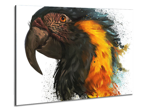 Rainbow Splatter Parrot