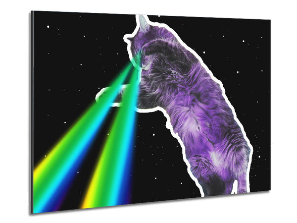 Cat Lazer Beam Space