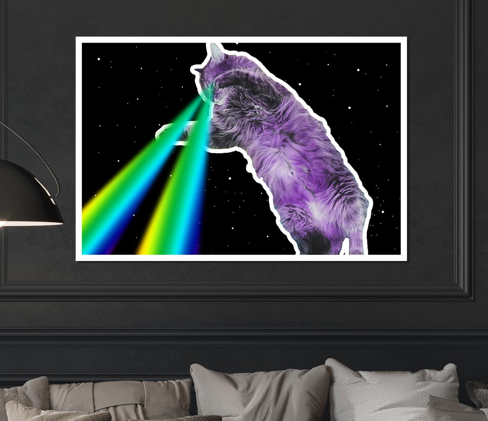 Cat Lazer Beam Space Print Poster Wall Art