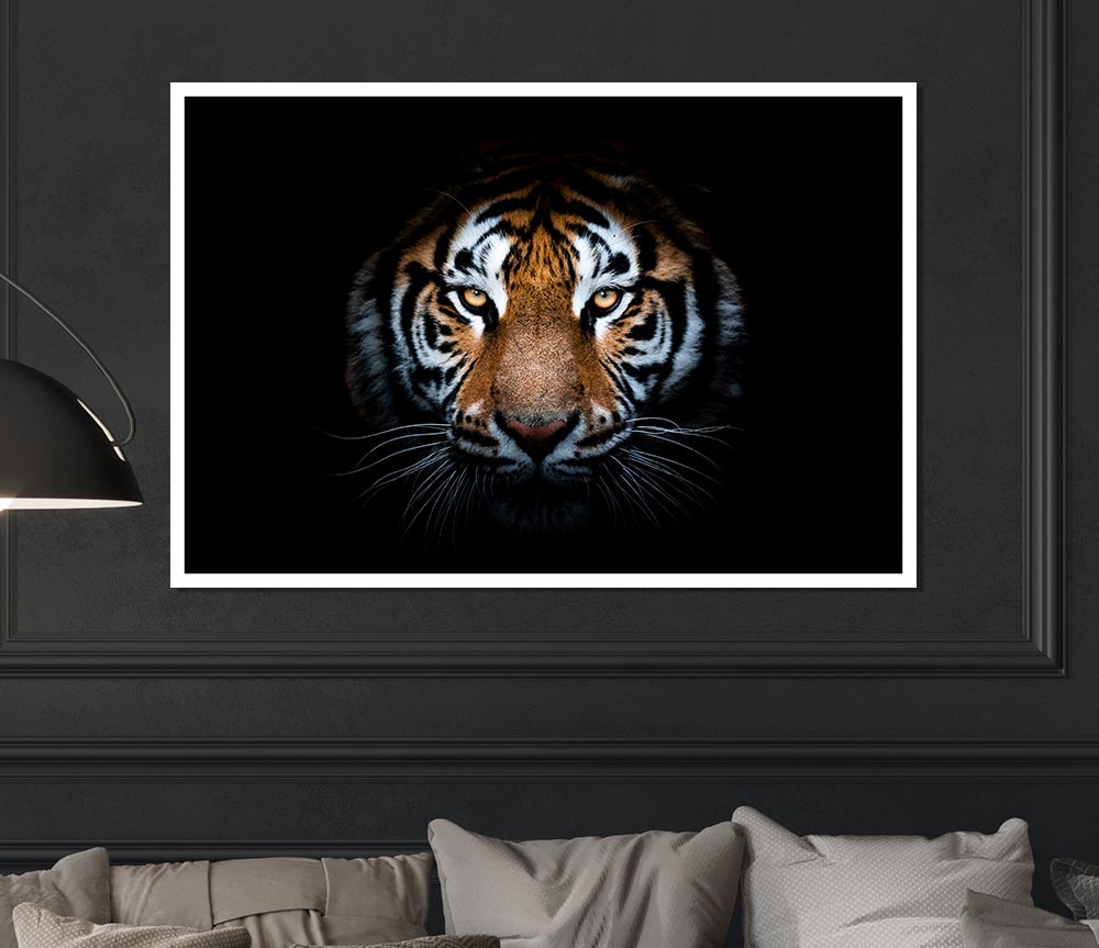 Tiger In The Dark Print Poster Wall Art