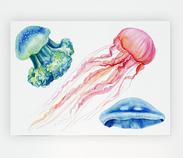 The Jellyfish Of The Sea Print Poster Wall Art