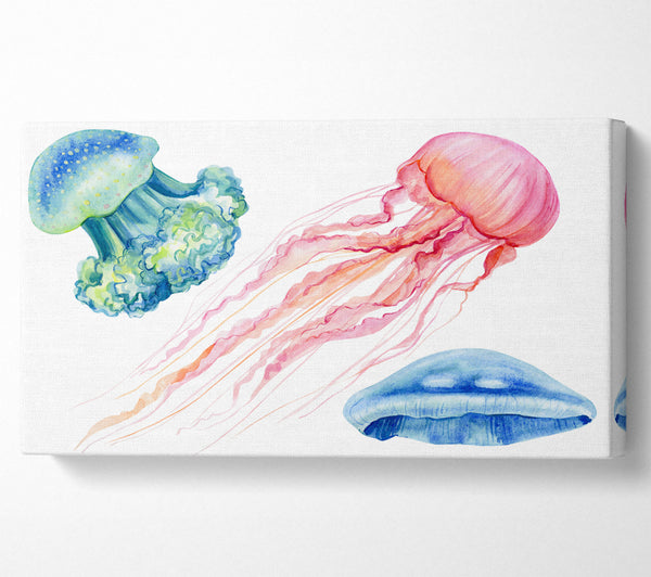 The Jellyfish Of The Sea