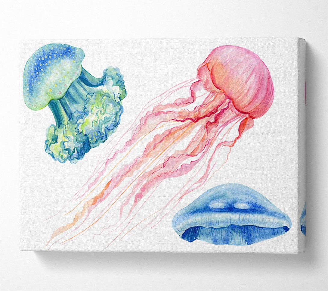 Picture of The Jellyfish Of The Sea Canvas Print Wall Art