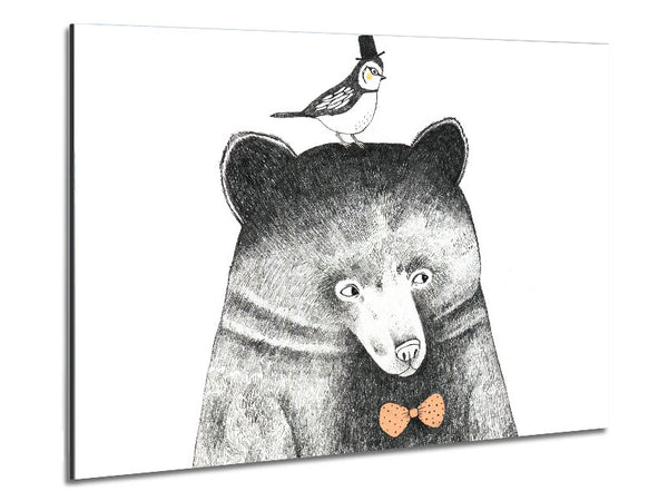 Bird And Bear