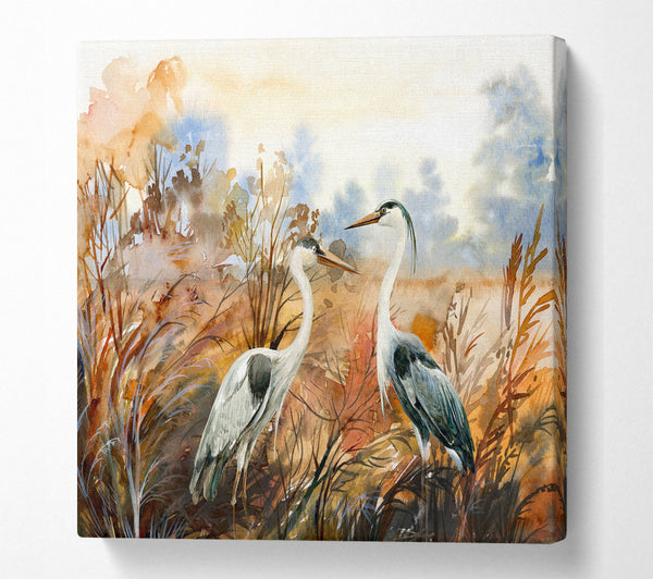 A Square Canvas Print Showing Herons In The Pond Square Wall Art