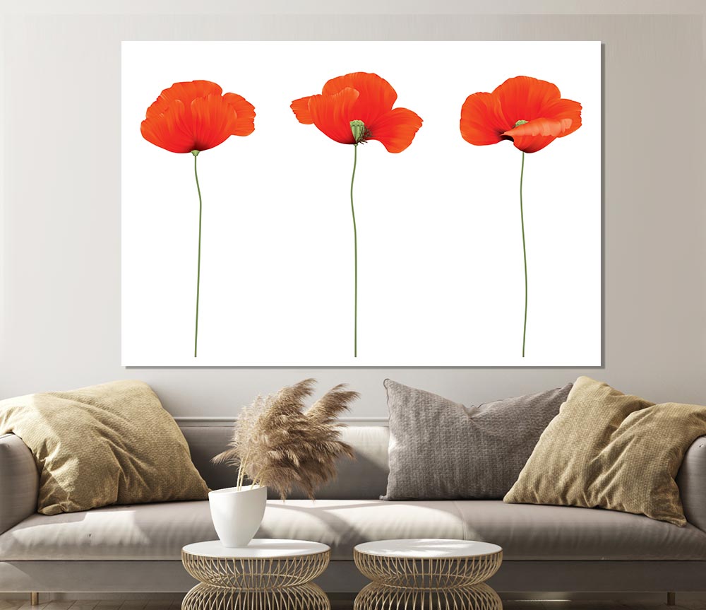 Three Poppies Standing Print Poster Wall Art