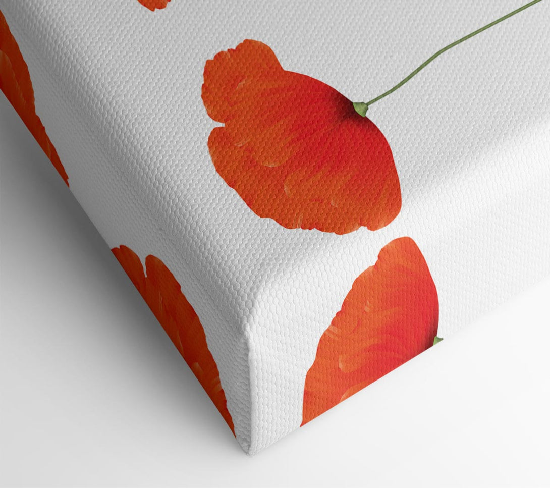 Picture of Three Poppies Standing Canvas Print Wall Art